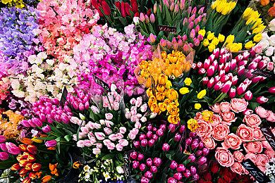 《奇娅 Tchia》周年庆：现已登陆Steam